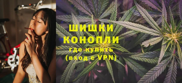 твердый Нягань