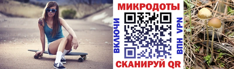 гидра зеркало  Сорск  Псилоцибиновые грибы Magic Shrooms  купить наркотики сайты 